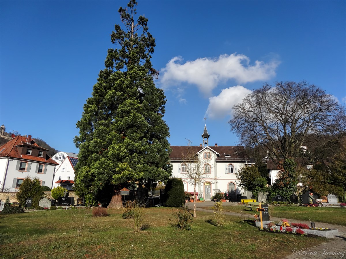 2. Alter Friedhof. 2. Alter Friedhof.