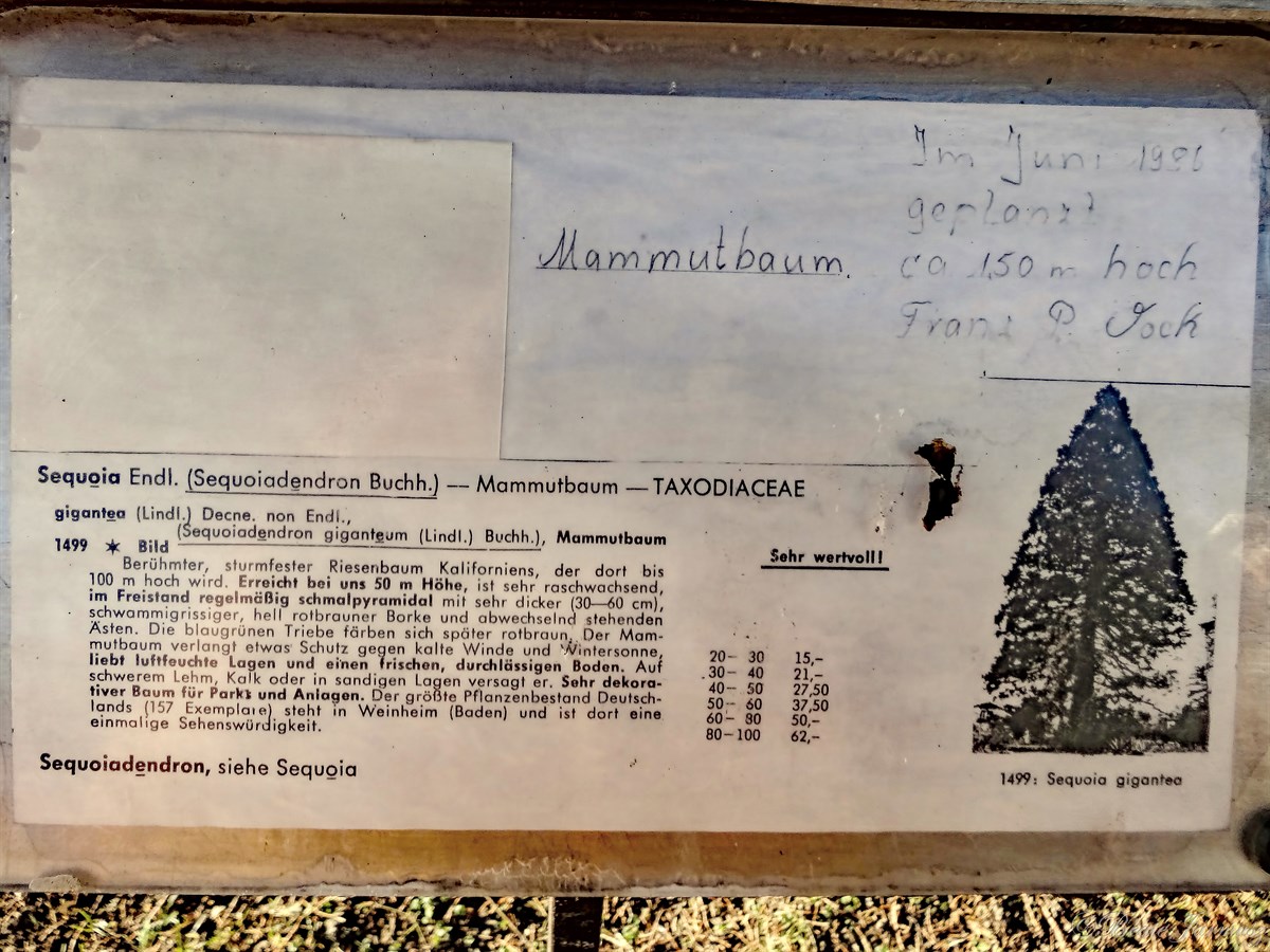 2a. Alter Friedhof. 2a. Alter Friedhof.