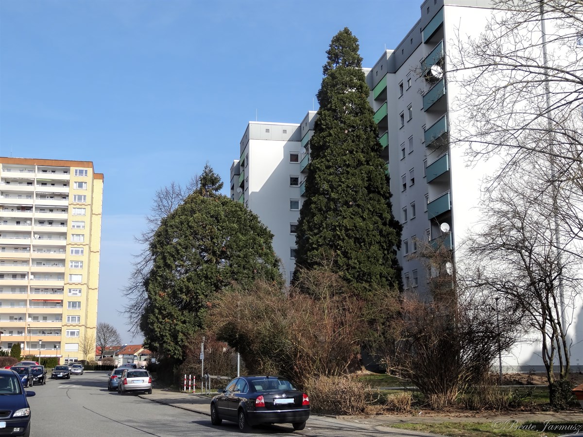 3. Frankfurter Str 57. 3. Frankfurter Str 57.