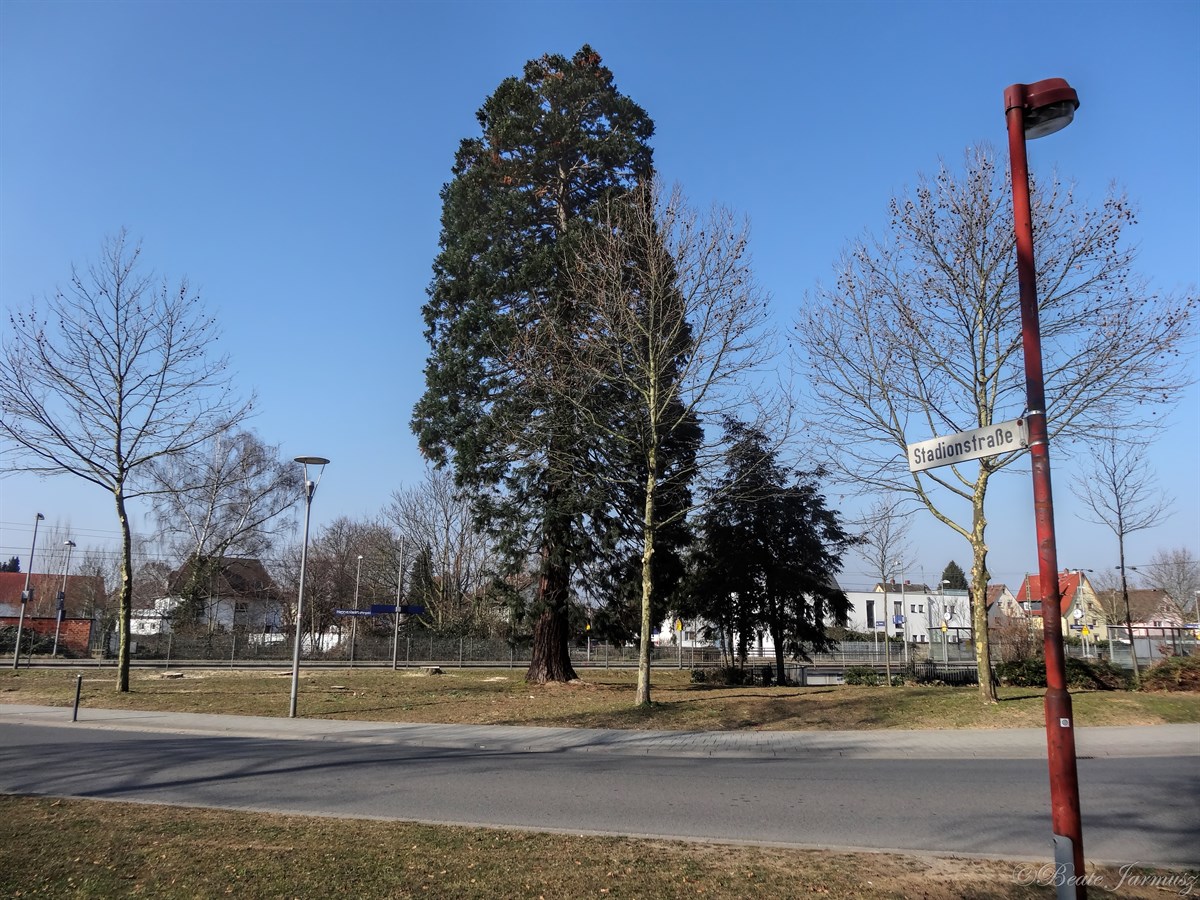 8. Stadionstr., am Bahnhof. 8. Stadionstr., am Bahnhof.