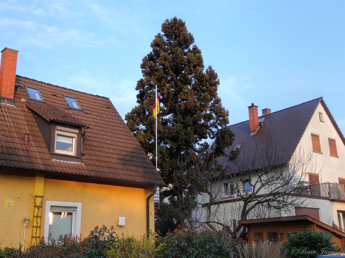 9. Lessingstr. 1 9. Lessingstr. 1